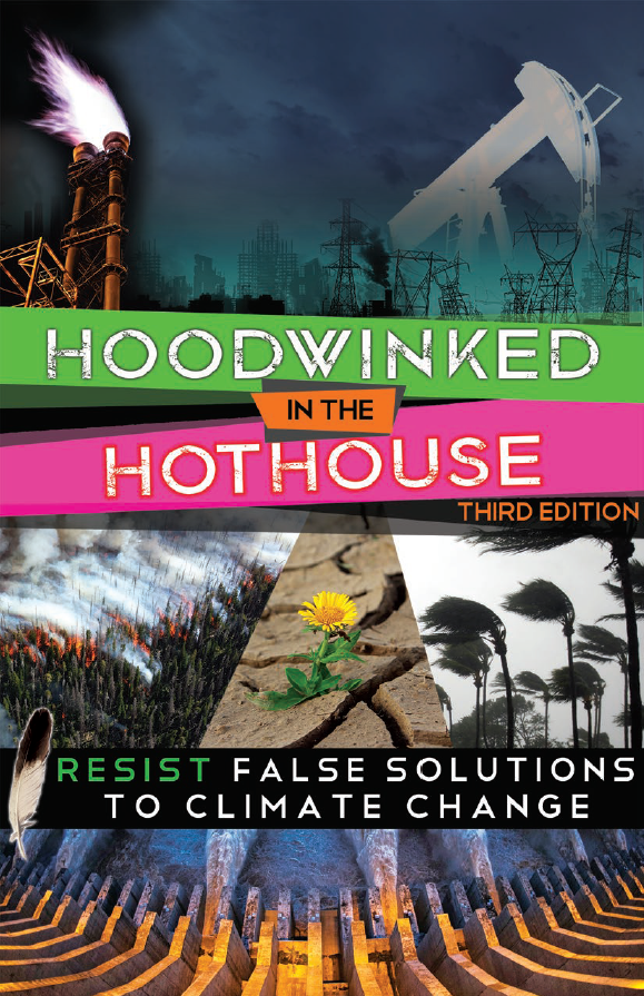 Cover image of Hoodwinked in the Hothouse