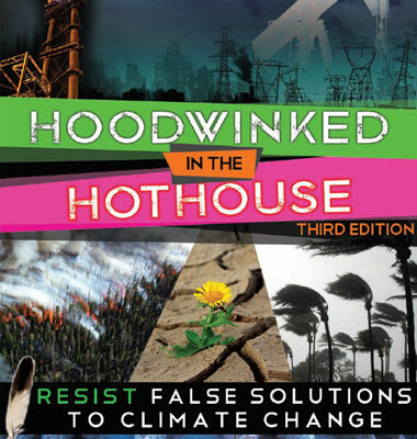 Hoodwinked in the Hothouse – English (Print version)