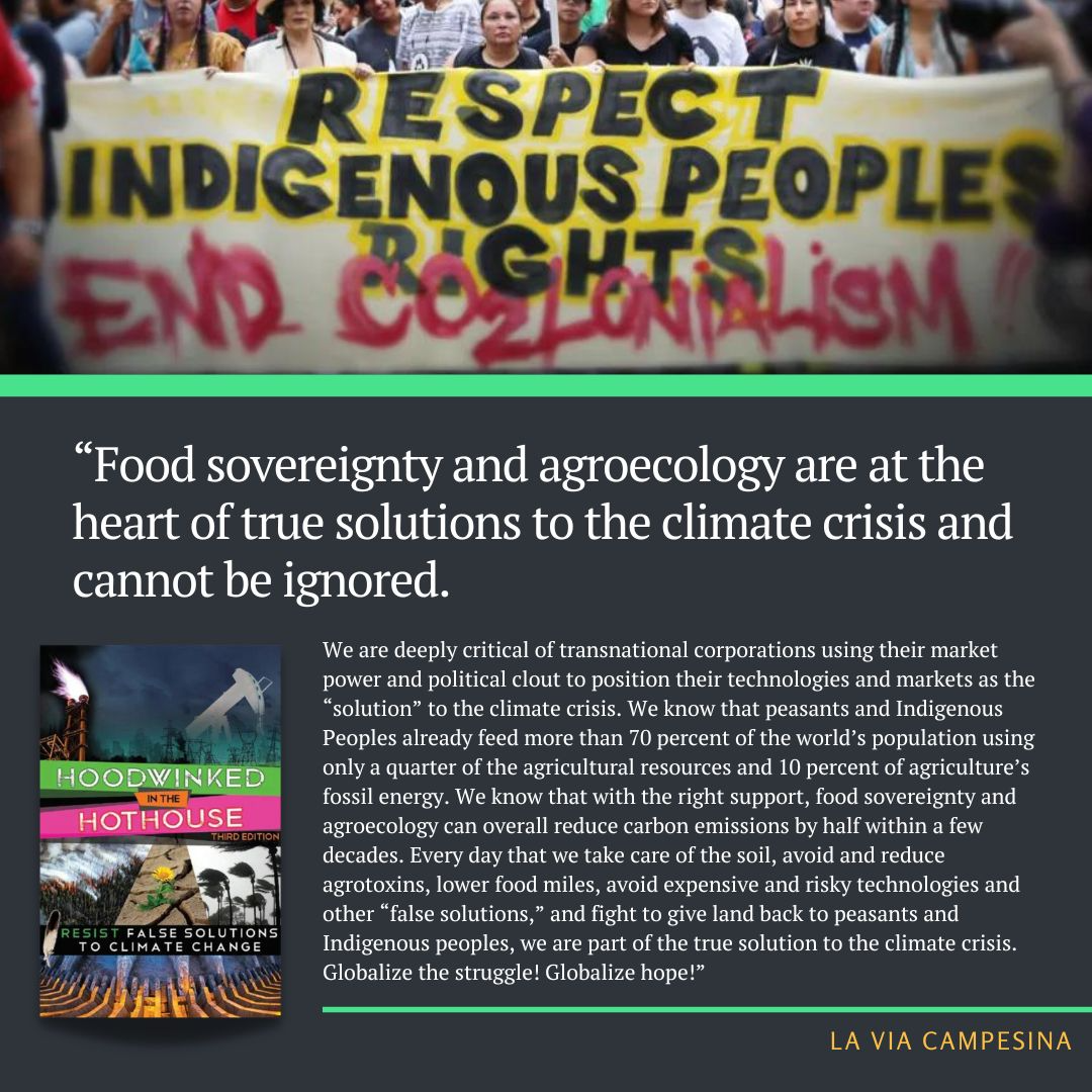 Read more about the article Food sovereignty and agroecology are at the heart of true solutions to the climate crisis and cannot be ignored